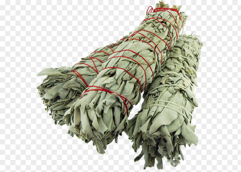 Sage Smudging Common Incense Image Video PNG
