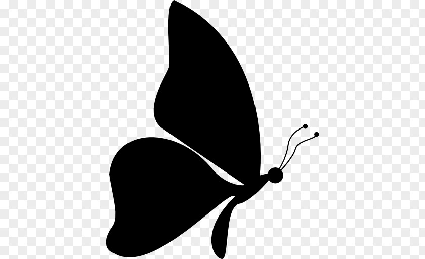 Side Vector Butterfly Insect Silhouette Clip Art PNG
