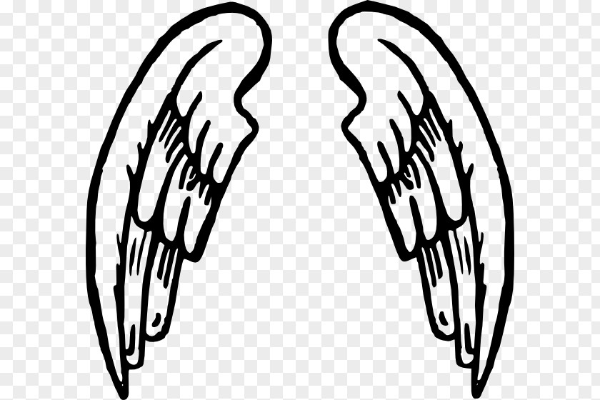 Wings Cliparts Angel Drawing Clip Art PNG