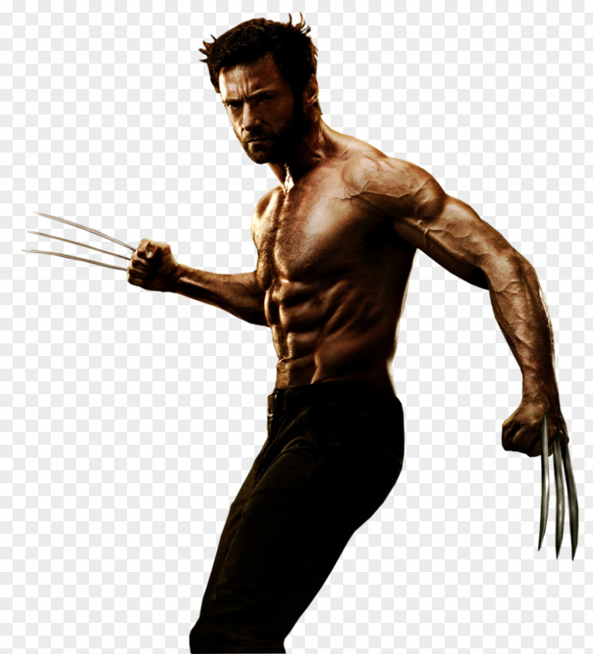Wolverine Desktop Wallpaper Clip Art PNG