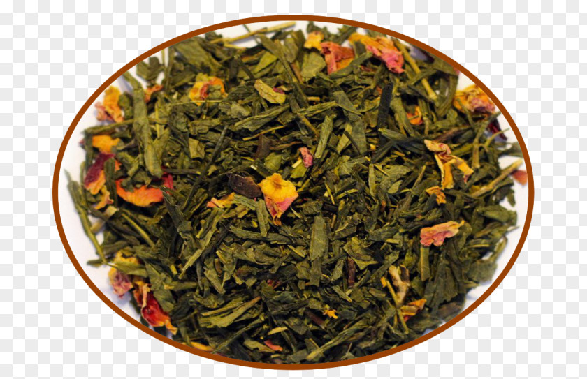 Bai Mudan Sencha Dianhong Nilgiri Tea Green PNG