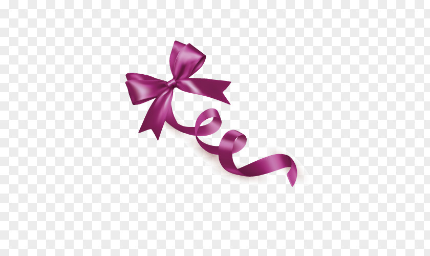 Bow Ribbon Shoelace Knot PNG