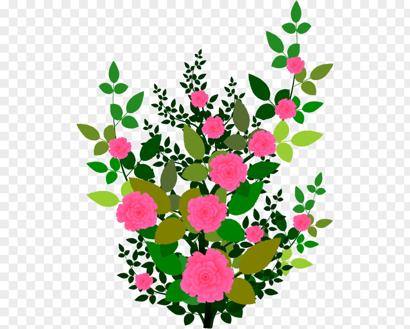 BUNGA Rose Shrub Plant Flower Clip Art PNG