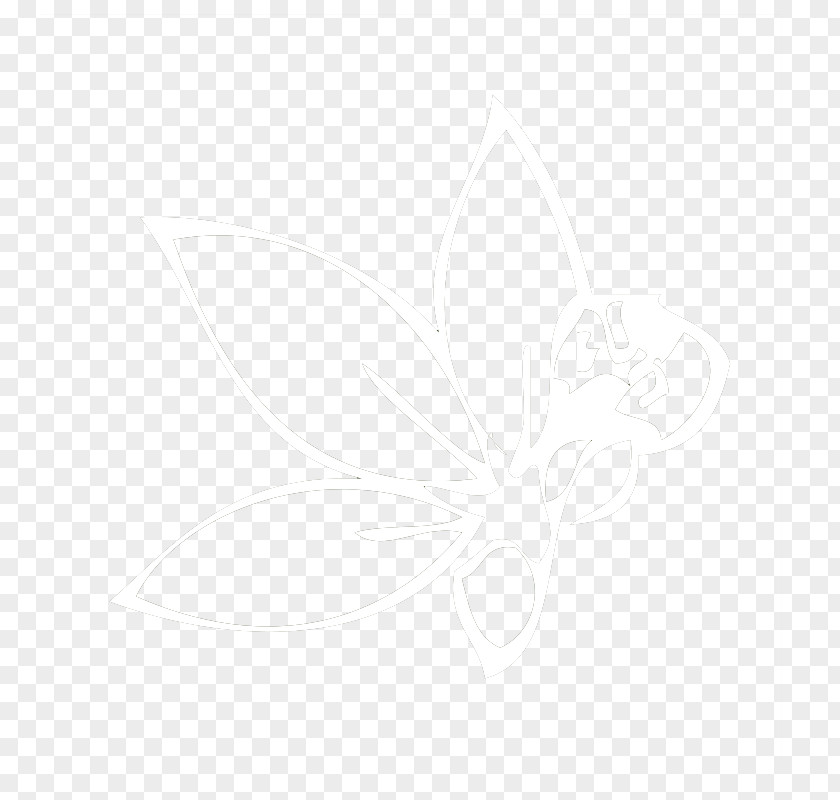 Butterfly White Line 2M Font PNG