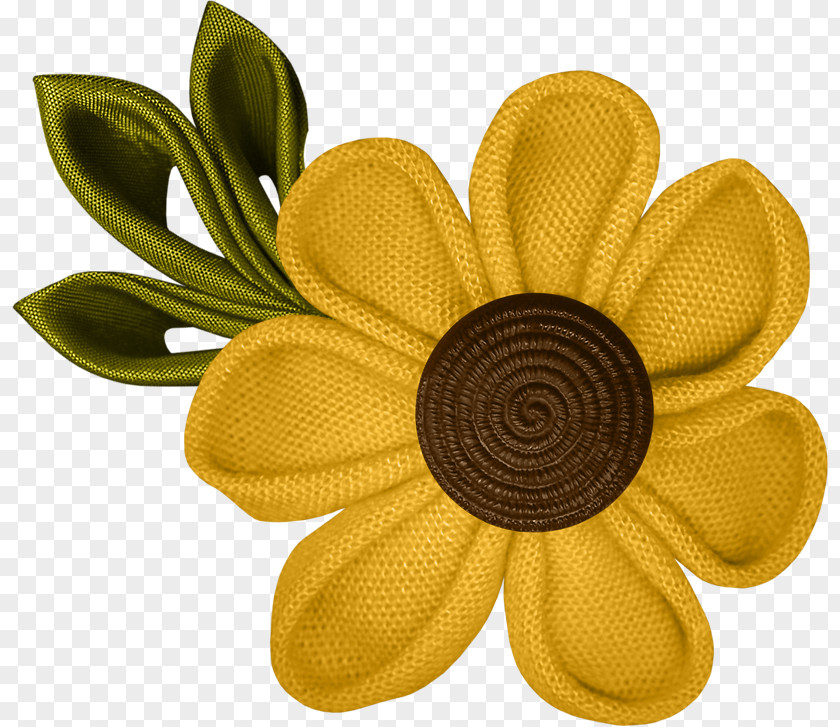 Design Common Sunflower Cut Flowers Petal PNG