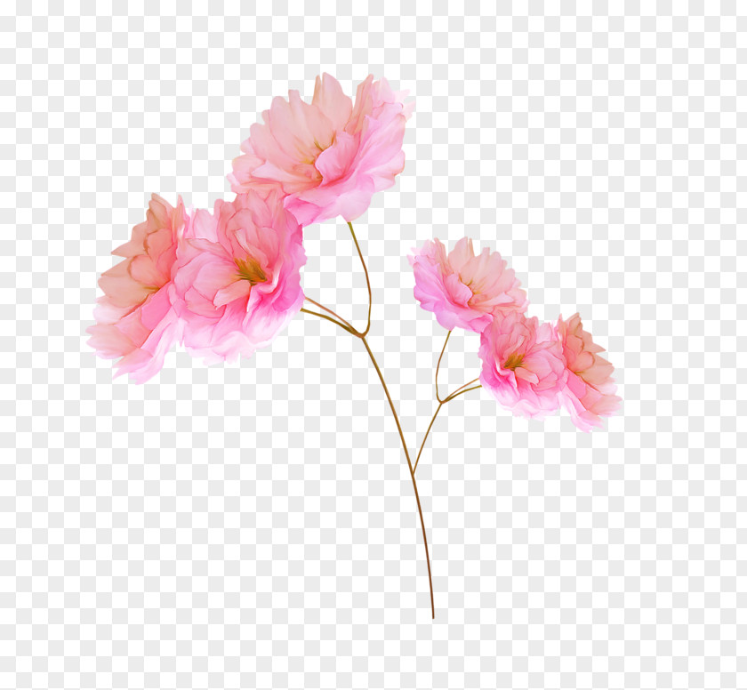 Flower Raster Graphics Clip Art PNG