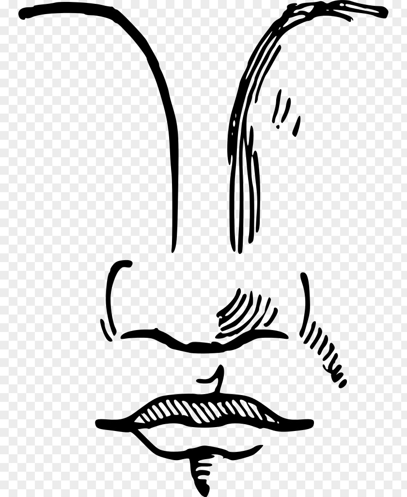 Nose Human Face Clip Art PNG