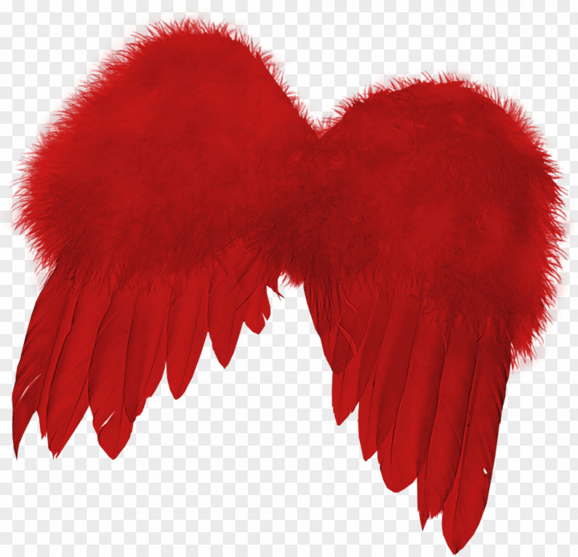 Red Wings Feather PNG