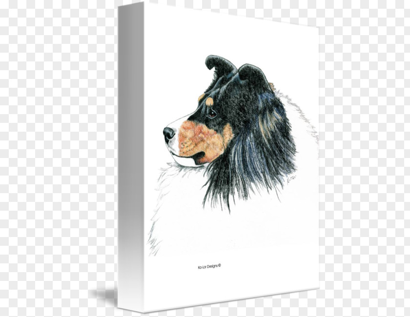 Shetland Sheepdog Old English Companion Dog Breed PNG