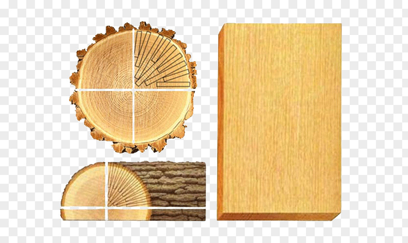 Wood /m/083vt Lumber PNG