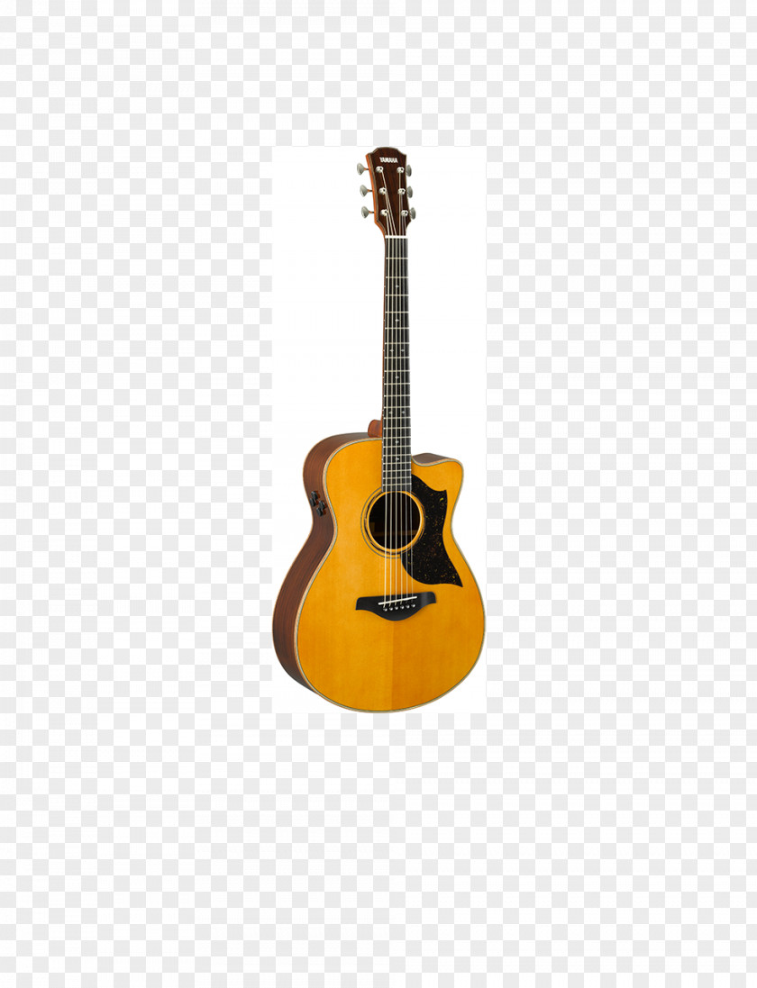 Acoustic Guitar Acoustic-electric Classical Tiple PNG