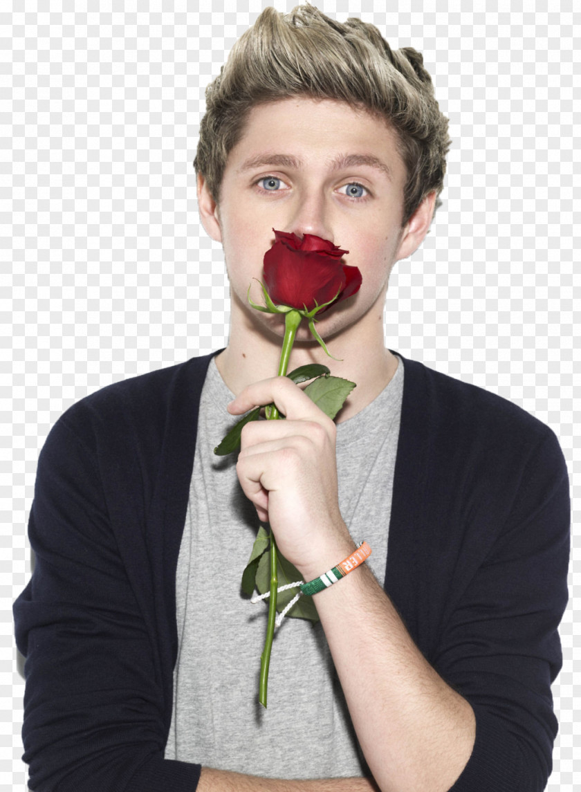 Direction Niall Horan One Photography PNG