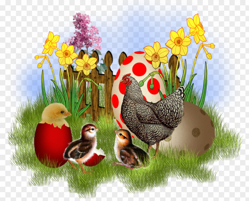 Grass Cartoon Plant Animation Narcissus PNG