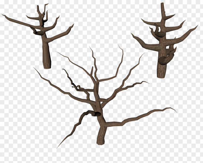 Tree Trunk Branch PNG