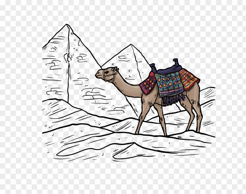 Vector Camel Desert Euclidean PNG