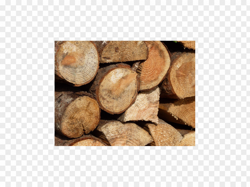 Wood Softwood Firewood Lumber Hardwood PNG