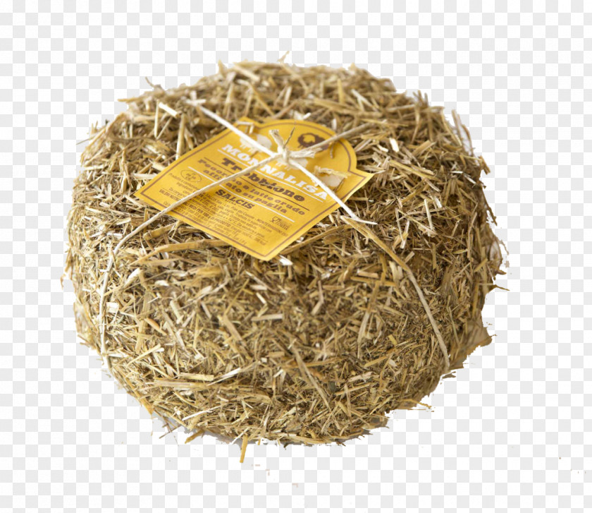 Bird Hōjicha Nest Drinking Straw PNG