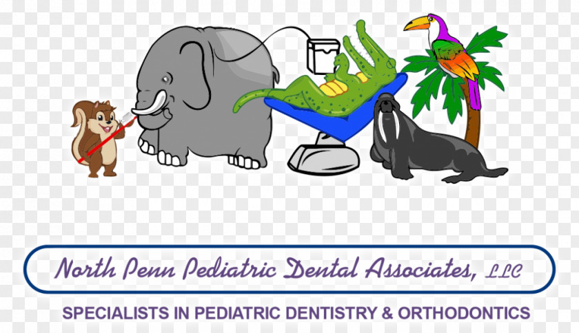 Child Lansdale Pediatric Dentistry Tooth Decay PNG