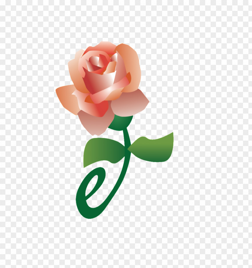 Copy And Paste Rose Garden Roses Product Service Petal PNG