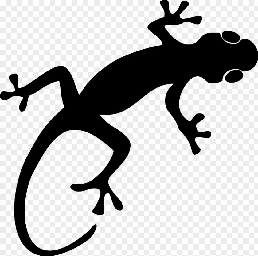 Frog Newt Cartoon PNG