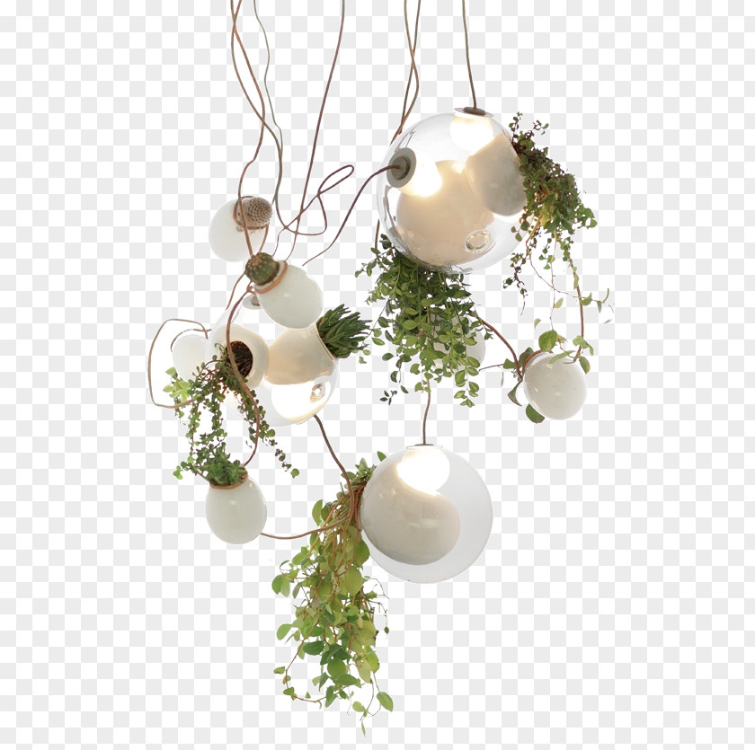 Hanging Green Plants Bocci Lighting Pendant Light Fixture Electric PNG