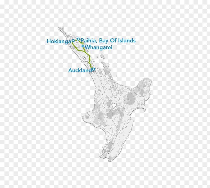 Island Of Adventure Organism Map Tuberculosis PNG
