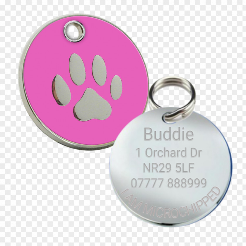 Tag Pink Key Chains Charms & Pendants Body Jewellery PNG