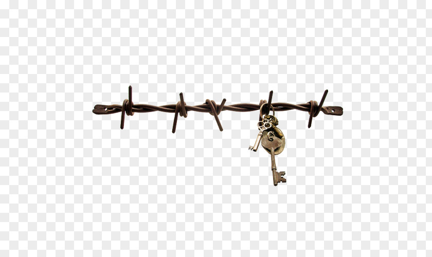 Jewelry Stand Barbed Wire Fence Wall Electricity PNG
