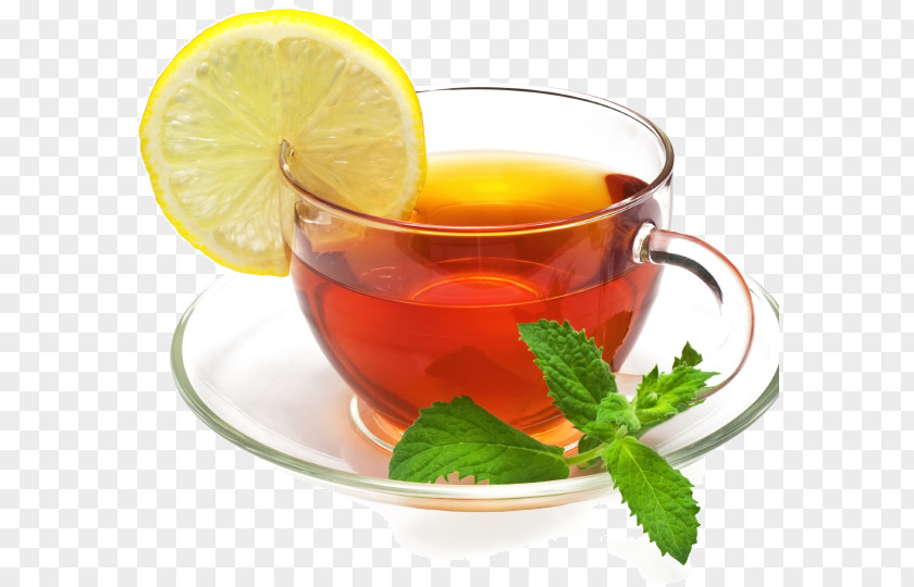 Tea Green Fizzy Drinks Ginger Lemon Juice PNG