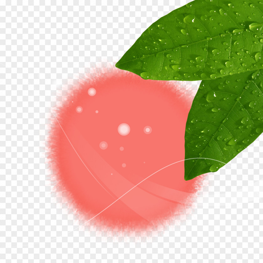 There Are Water Droplets Green Leaf Decoration Drop PNG