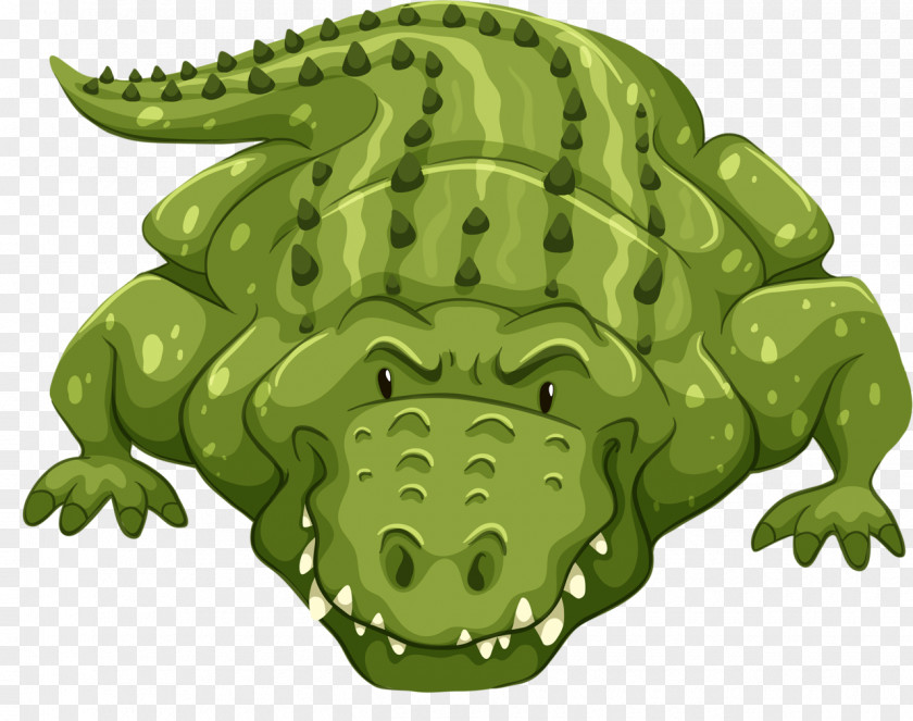 Crocodile Alligators Clip Art Vector Graphics Stock Photography PNG