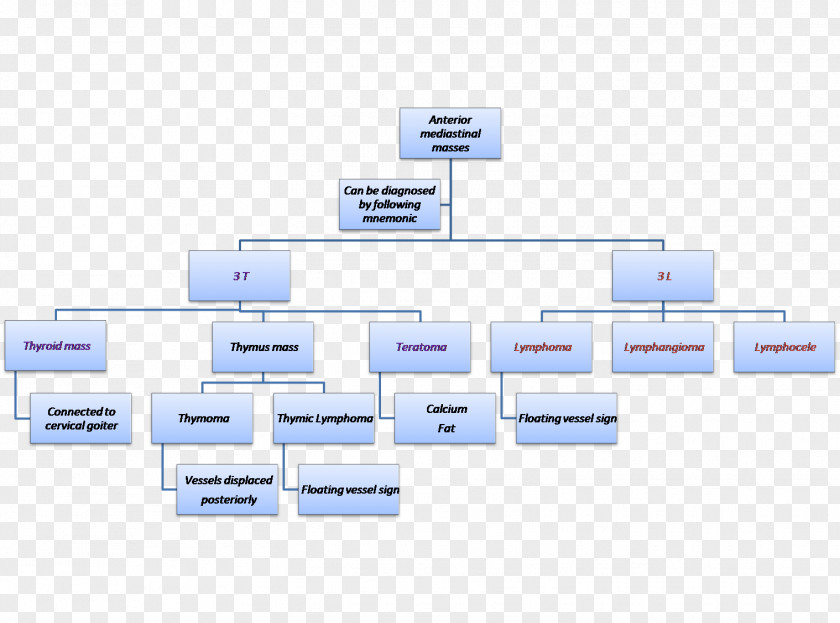 Line Brand Organization PNG