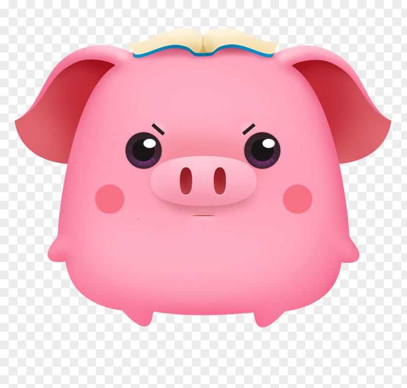 Pig Snout Pink M PNG