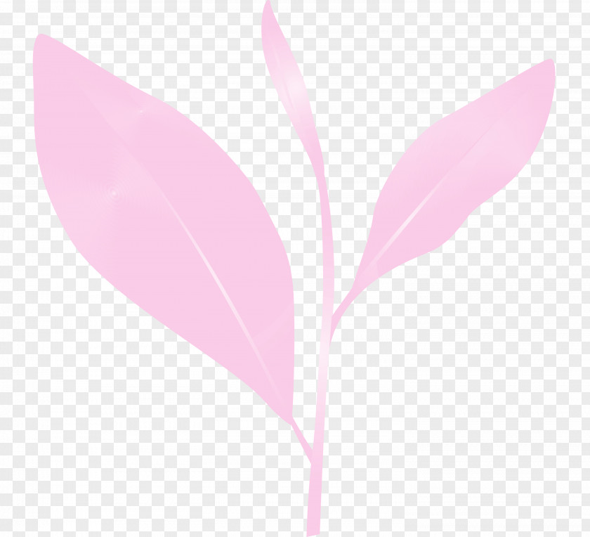 Pink Leaf Flower Plant Pedicel PNG