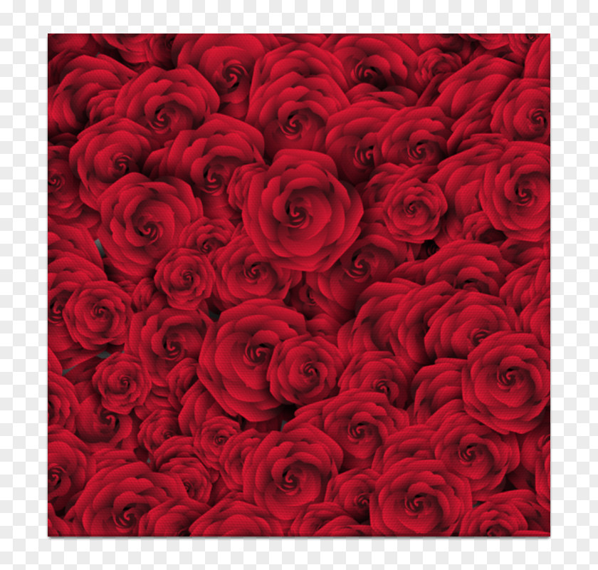 Rose Red Photography Clip Art PNG