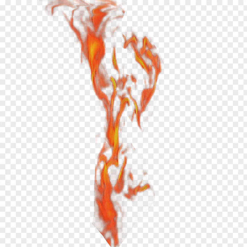 Small Flames Text Joint Illustration PNG