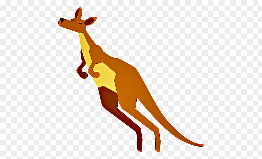 Wallaby Fawn Kangaroo Cartoon PNG