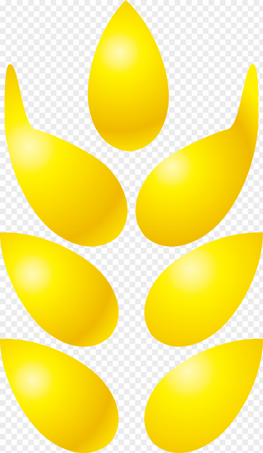 Wheat Vector Material PNG