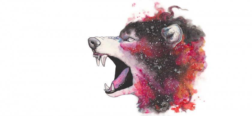 Wolf Gray Watercolor Painting Drawing Galaxy PNG