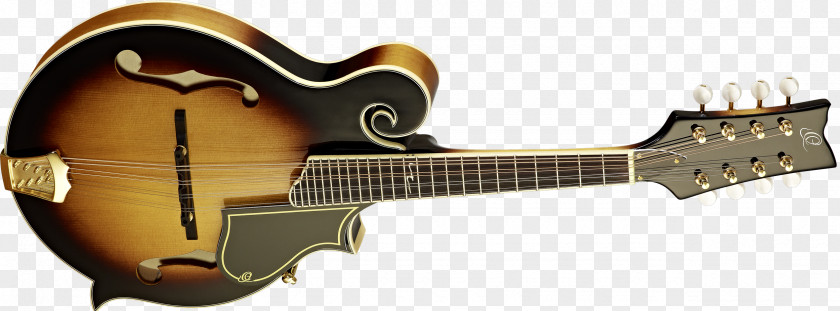 Acoustic Guitar Cavaquinho Mandolin Tiple Acoustic-electric PNG