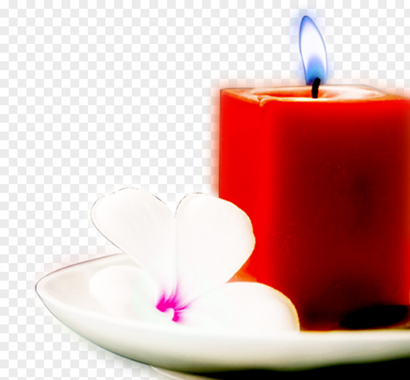 Beautiful Flowers Beautifully Candle Decorative Plates Light PNG