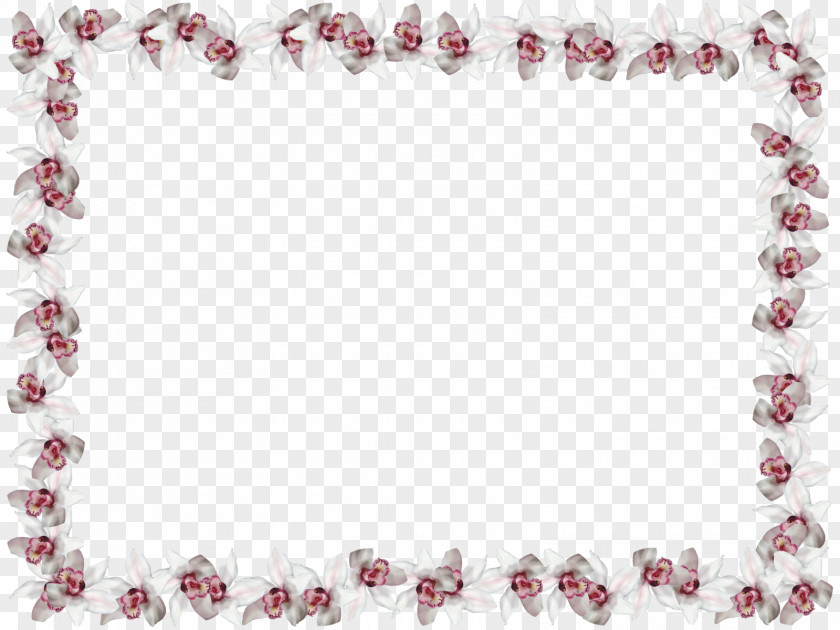 Necklace Pearl Bracelet Bead Jewellery PNG