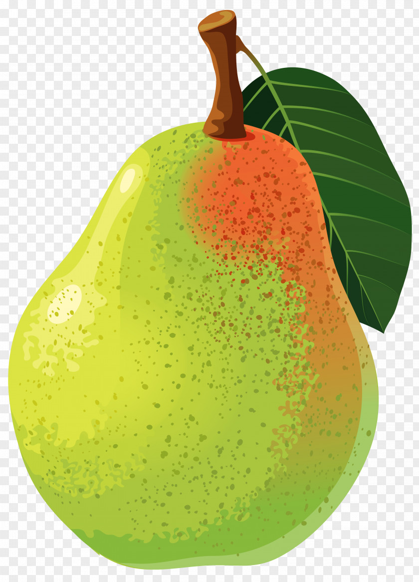 Pear Vector Clipart Image Asian Clip Art PNG