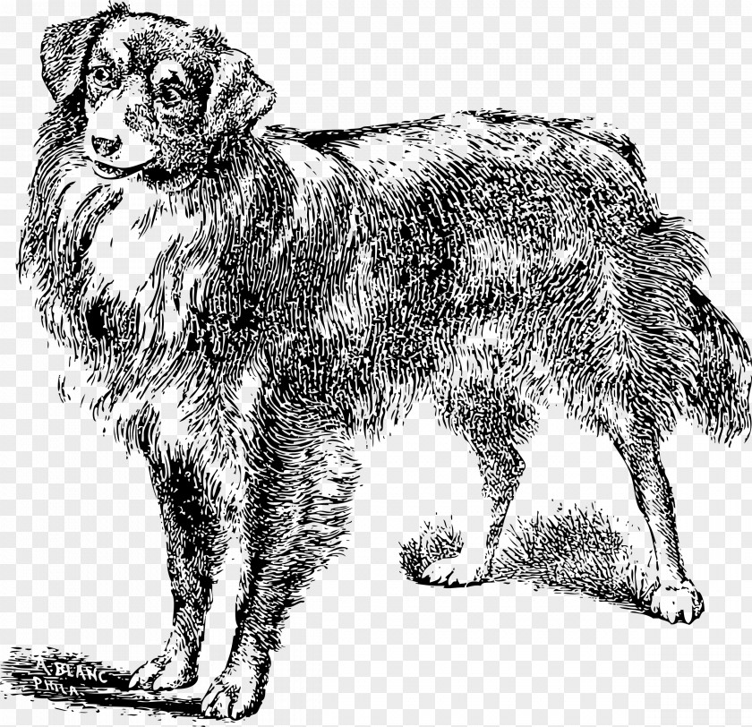 Puppy Dog Breed Dobermann Pekingese Rough Collie PNG