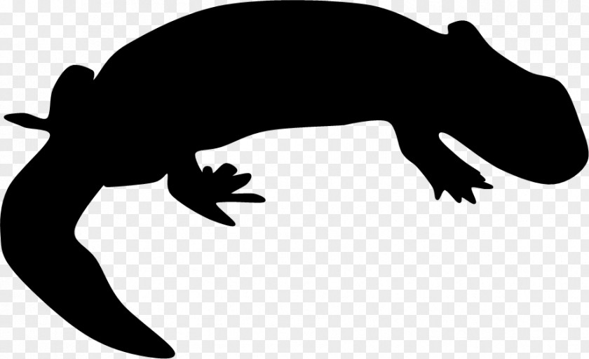 Amphibian Reptile Silhouette White Clip Art PNG