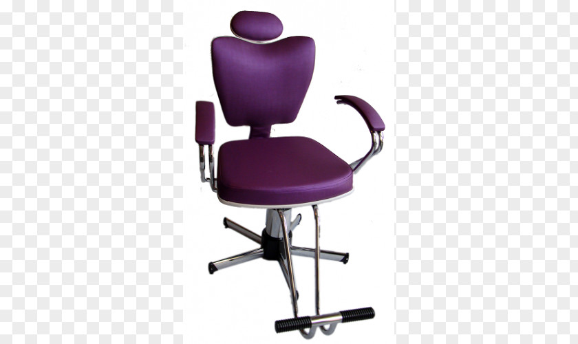 Chair Office & Desk Chairs Beauty Parlour Furniture Bergère PNG