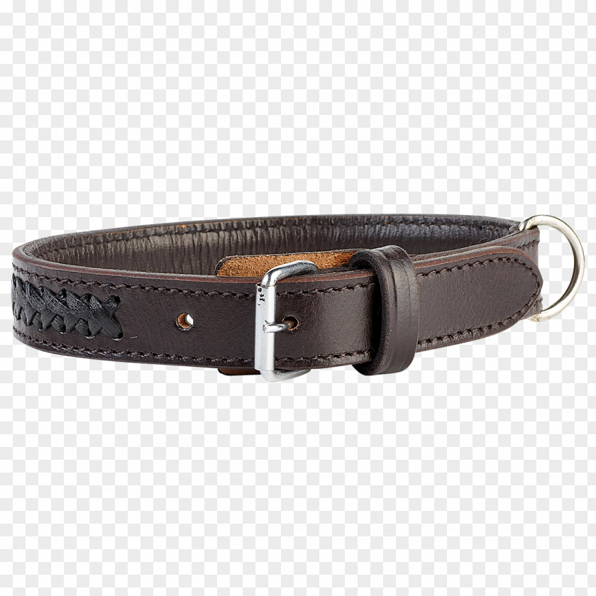 Dog With Collar Belt Buckles PNG