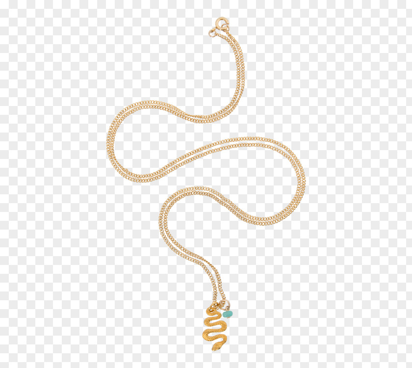 Jewellery Earring Reptile Body PNG