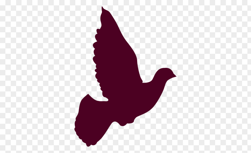 Peace Dove Columbidae Silhouette Doves As Symbols Clip Art PNG