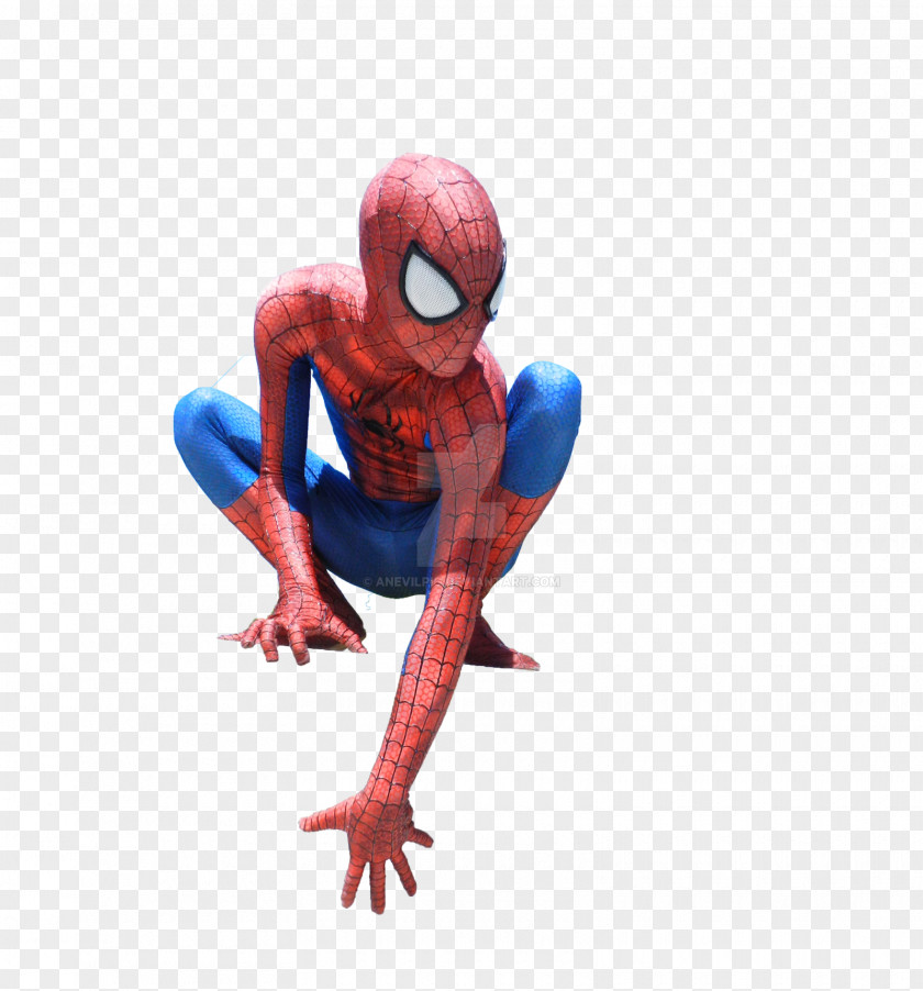 Spiderman Figurine Character Organism Animal Fiction PNG